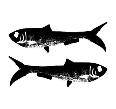 El yapımı ançüezli balıklar beyaz arka planda izole edilmiş. Retro vintage oymacılık tarzında vektör illüstrasyonu.