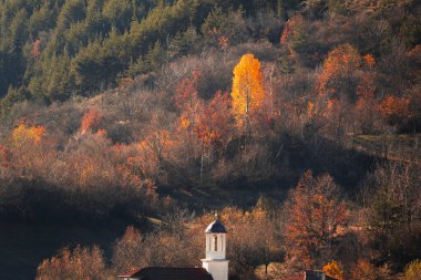 Güzel bir kilise manzaralı sonbahar manzarası.