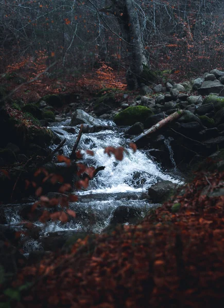 Hermoso Bosque Otoñal Con Una Pequeña Cascada — Foto de Stock