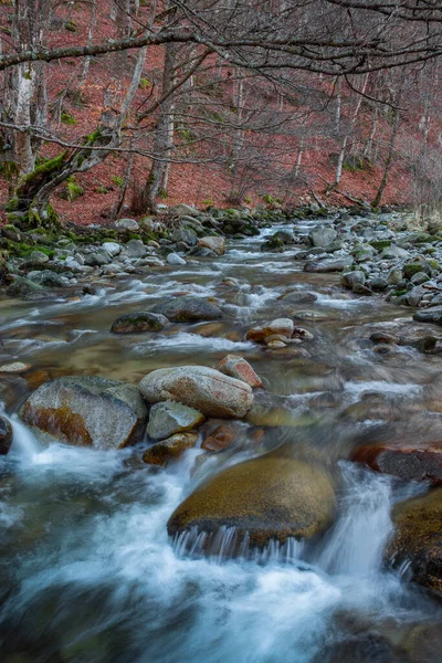 Řeka Teče Lesem Brzy Jaře — Stock fotografie