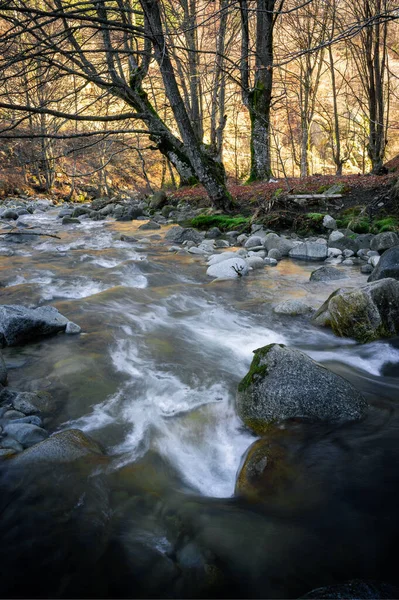 Krásná Řeka Vodou Tekoucí Horách — Stock fotografie