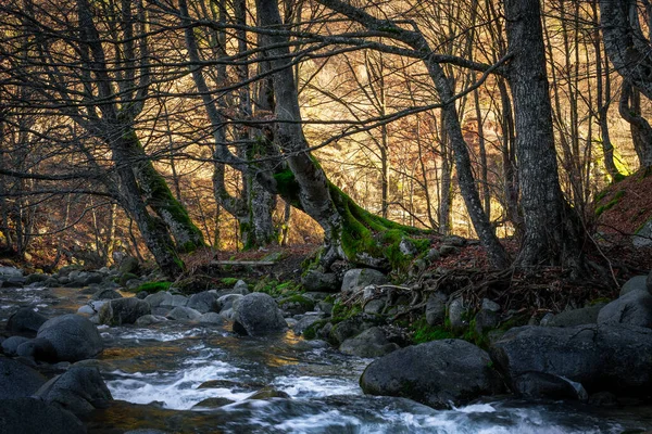 Krásná Krajina Řekou Kameny Dopoledních Hodinách — Stock fotografie