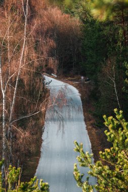 Ormandaki güzel bir yol manzarası