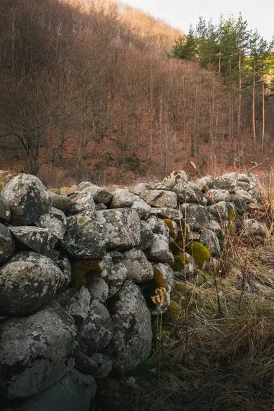 Eski Bir Taş Duvarı Olan Güzel Bir Manzara — Stok fotoğraf