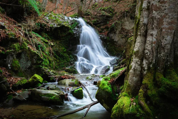 Pequeña Corriente Agua Que Fluye Través Las Rocas Verdes Bosque — Foto de Stock