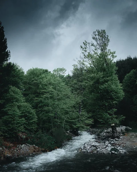 Krásná Řeka Lese Tmavou Náladovou Oblohou — Stock fotografie