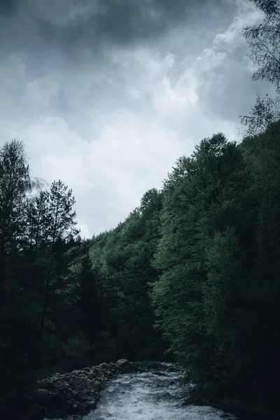 Grande Fiume Nella Foresta Con Cielo Nuvoloso Sullo Sfondo — Foto Stock