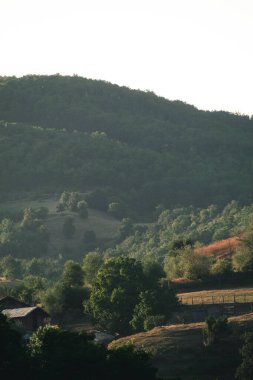 Beautiful vertical landscape of a big mountain in the background.