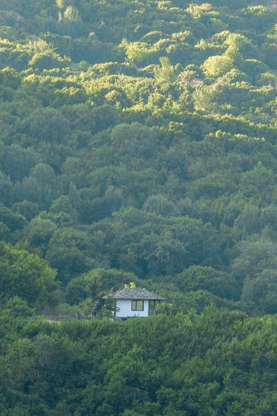 Malý Domek Vrcholu Kopce Obklopený Lesem — Stock fotografie