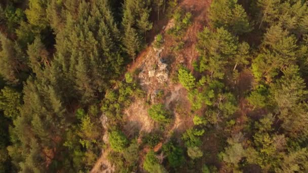 Videonun Sonunda Bir Köy Insansız Hava Aracını Ağaçlara Kayalık Kayalıklara — Stok video