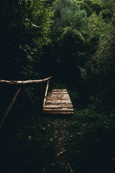 一条可怕的小路 木桥穿过一片漆黑的森林 — 图库照片
