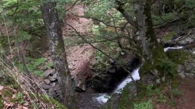 Ormandaki bir şelalenin 4k 60fps videosu. Yukarıdan iPhone ile çekilmiş..