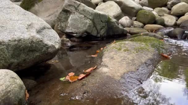 4K60未经编辑的带有自然和水的轻松自在声音的Iphone视频 — 图库视频影像