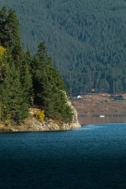 Arka planda büyük bir dağ olan bir gölün üzerindeki kayalık kayalık kayalıklarda güzel bir çam ormanı manzarası..
