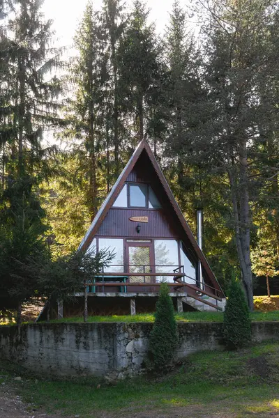 Small villa with triangle roof in the forest.