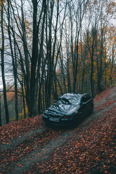 Bulgaristan - 11,12,2023: Bir arabanın fotoğraf çekimi sırasında ormanda sonbahar havası var.