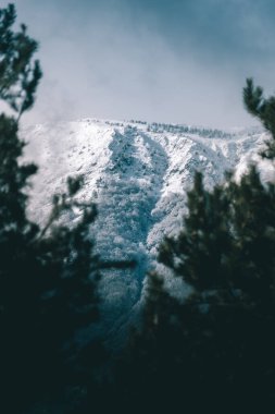 Pirin 'deki Bulgar dağlarında kış manzarası.
