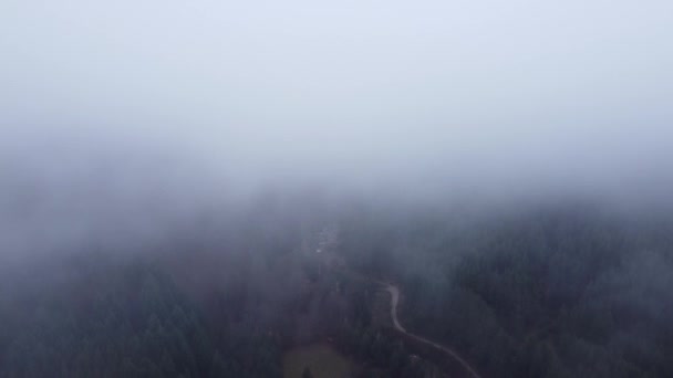 Descending Trough Thick Smoke Revealing Nature — Stock Video