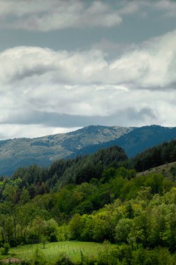 Destansı arka plan dağları ve gökyüzü olan güzel yeşil orman ve çayır..