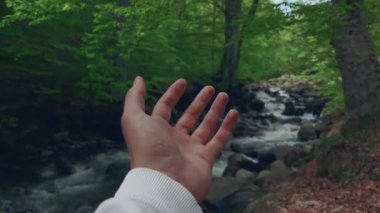 4K 60fps video boş bir erkek eli başlangıç ve güzel bir orman ile bir nehir. Hareketi güçlendiriyor.