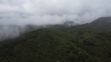 Bulutlu gökyüzü ve sisli dağlarla ormanın üzerinde İHA ile sağa doğru dönüyor..