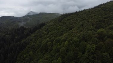 Kara bulutlu gökyüzü ve sisli dağları kaplayan kasvetli karanlık manzaralı ağaçların üzerinden geçen sinematik drone..