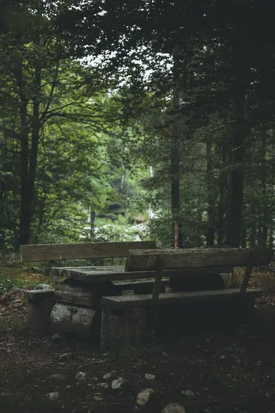 stock image Calm and place with wooden table and benches in the middle of a dark and moody forest.