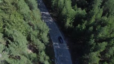 Bulgaristan - 07 26 2024: Huysuz bir ladin ormanında 4K 30fps 'de bir insansız hava aracıyla yakalanan 3 serinin videosu.