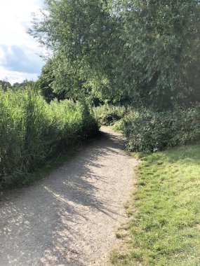 Ormanda koşmak, yoga yapmak, ferahlatıcı, rehabilitasyon, temiz hava avantajları. Gerçek fotoğraf.