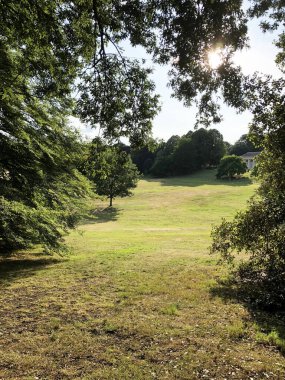 Ormanda koşmak, yoga yapmak, ferahlatıcı, rehabilitasyon, temiz hava avantajları. Gerçek fotoğraf.