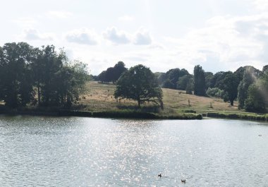Yeşil parktaki gölet, orman. Güzel yeşil bir park, nehir ve göletin gerçek fotoğrafı..