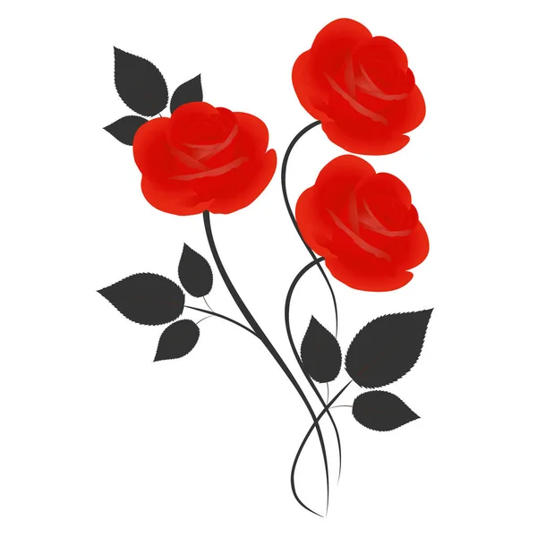 白い背景に黒い葉を持つ赤いバラの花束 — ストックベクタ