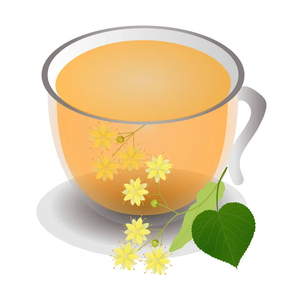Чашка Липового Чаю Ізольована Білому — стоковий вектор