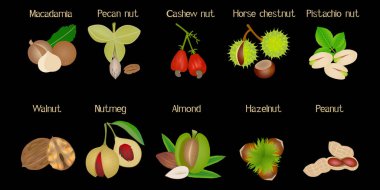 Siyah arkaplanda isimleri olan bir grup kaçık..