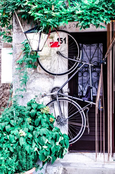 Perast Montenegro Summer 2022 Bicycle Hanging Wall Green Plants Stock — 스톡 사진