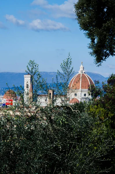 stock image View of La Cattedrale di Santa Maria del Fiore from the garden, stock photo