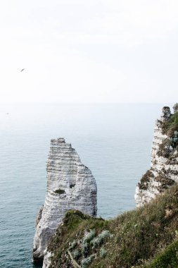 La Manche 'nin harika manzarası Etretat stok fotoğrafında.