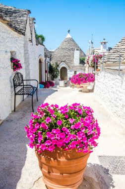 Alberobello, İtalya 'daki beyaz evlerin önünde pembe çiçekler.