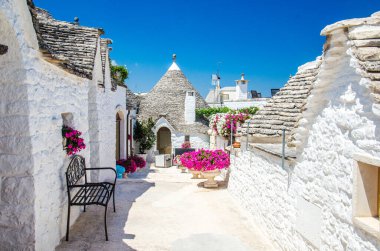 Alberobello, İtalya 'da geleneksel beyaz evler ve pembe çiçekler