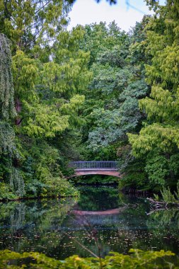 Berlin, Almanya - Eylül 2022: Yeşil manzaranın ortasında ahşap bir köprü ve Tiergarten Parkı 'ndaki gölette yansıma