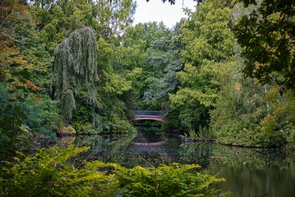 ベルリン ドイツ 2022年9月 池の緑の風景と反射の中にある木製の橋 Tigarden Park — ストック写真