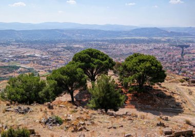 Bergama, Türkiye, Eylül 2018: Zeus Sunağı 'nın kalıntıları ve anıtsal çam ağaçları. Bugün sadece temeller var. Helenistik heykelin en belirgin örneği burada bulunur..