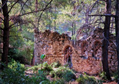 Olimpos, Antalya, Türkiye, Mayıs 2019: Antik Olimpos (Olympus) kentinin kalıntıları. Mimari Kalıntılar Lycian 'dan