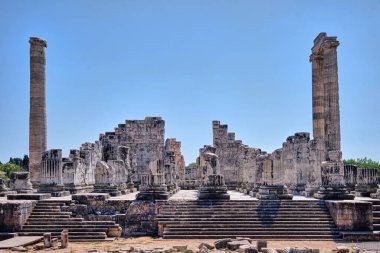 Didim, Türkiye - 23 Ağustos 2021 Didyma veya Didymaion 'daki Apollo Tapınağı manzarası antik Yunan dünyasının dördüncü büyük tapınağıydı.