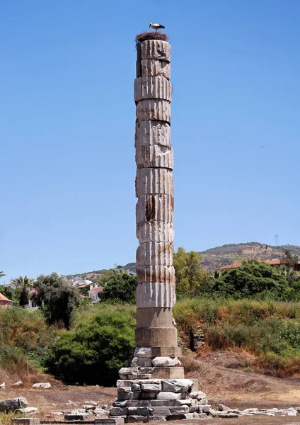 土耳其塞尔库克伊兹密尔 2018年5月 阿耳特弥斯以弗所神殿的柱子和废墟 古代世界七大奇迹之一 — 图库照片