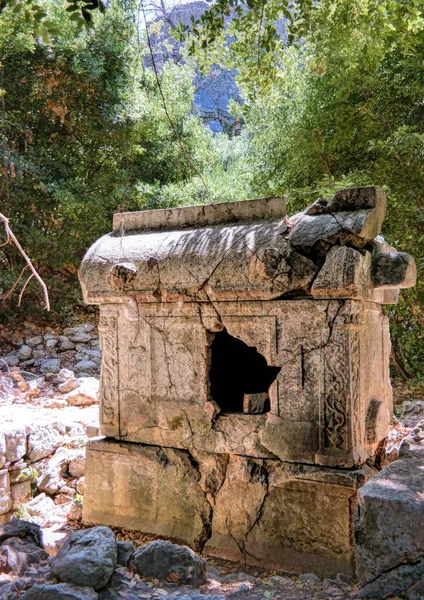 Olimpos アンタルヤ トルコ 2019年5月 オリンポスの古代都市の遺跡 オリンパス リュキア人のサルコファガス遺跡 — ストック写真