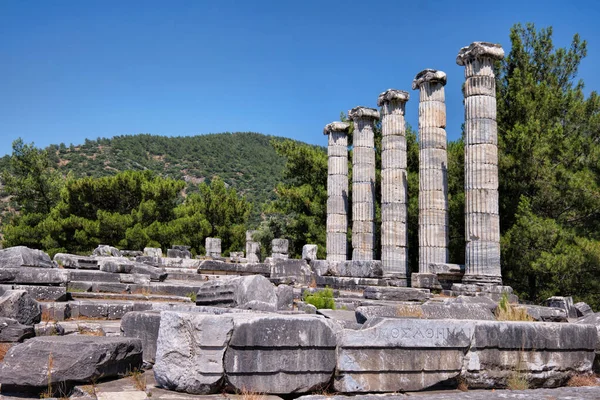 Aydin Turquia Outubro 2021 Colunas Jônicas Templo Athena Polias Cidade — Fotografia de Stock