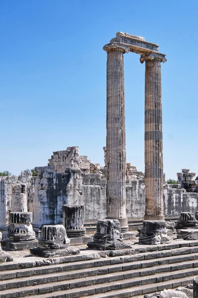 Didim Turquie Août 2021 Une Vue Temple Apollon Didyme Didymaion — Photo
