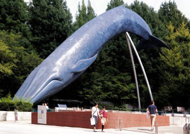 Tokyo, Japan - Sept, 2017: Blue Whale Sculpture at National Museum of Nature and Science,wide variety of natural history exhibitions and interactive scientific experiences.Located at Ueno