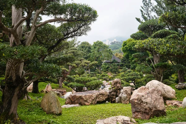 Гонконг Китай Апрель 2023 Года Красивый Зеленый Пейзаж Сада Нань — стоковое фото